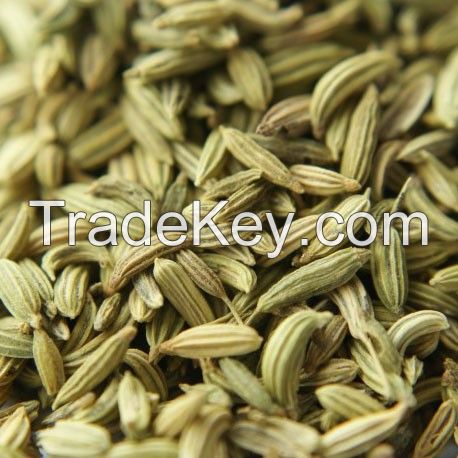 Fennel Seeds