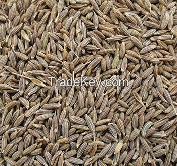 Cumin Seeds