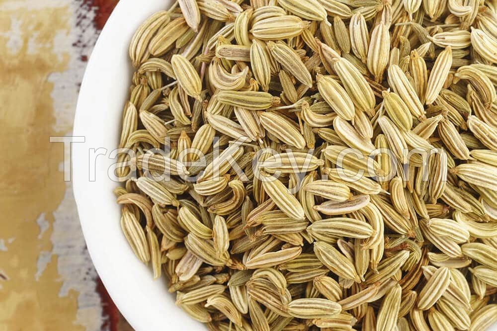 Fennel Seeds