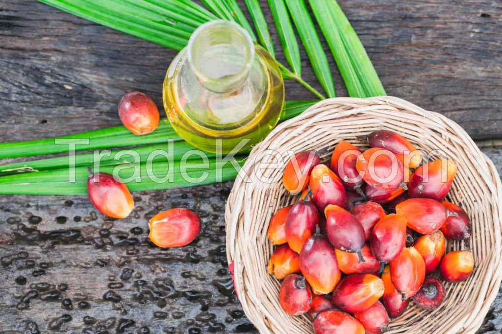 Palm Oil