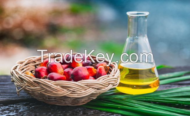 Palm Oil