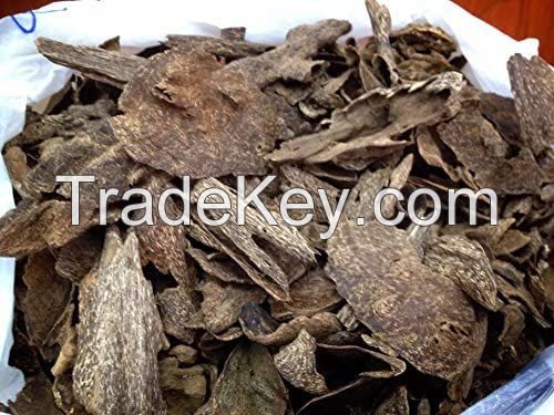 Agarwood chip, seeds, oud oil, Oud Chips