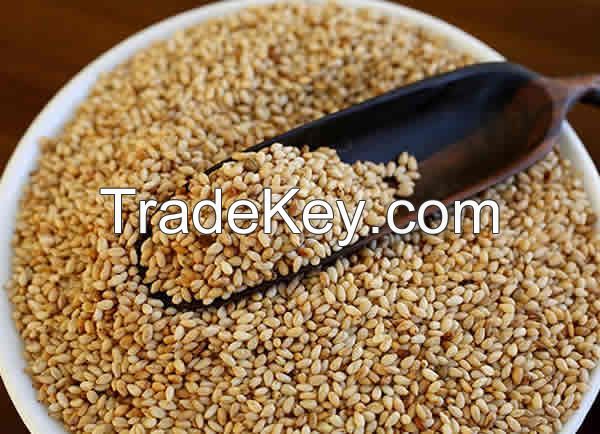 Natural White Sesame Seeds