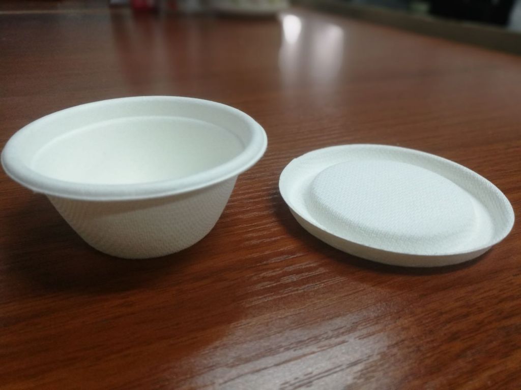 Biodegradable tableware