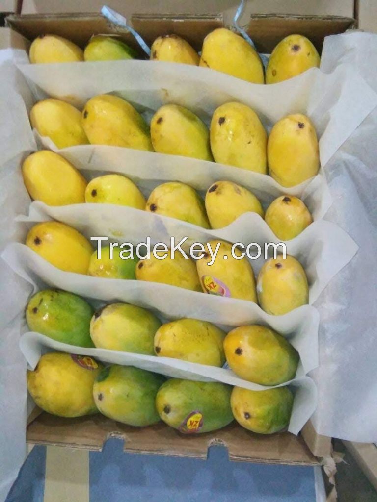 Fresh Mangoes