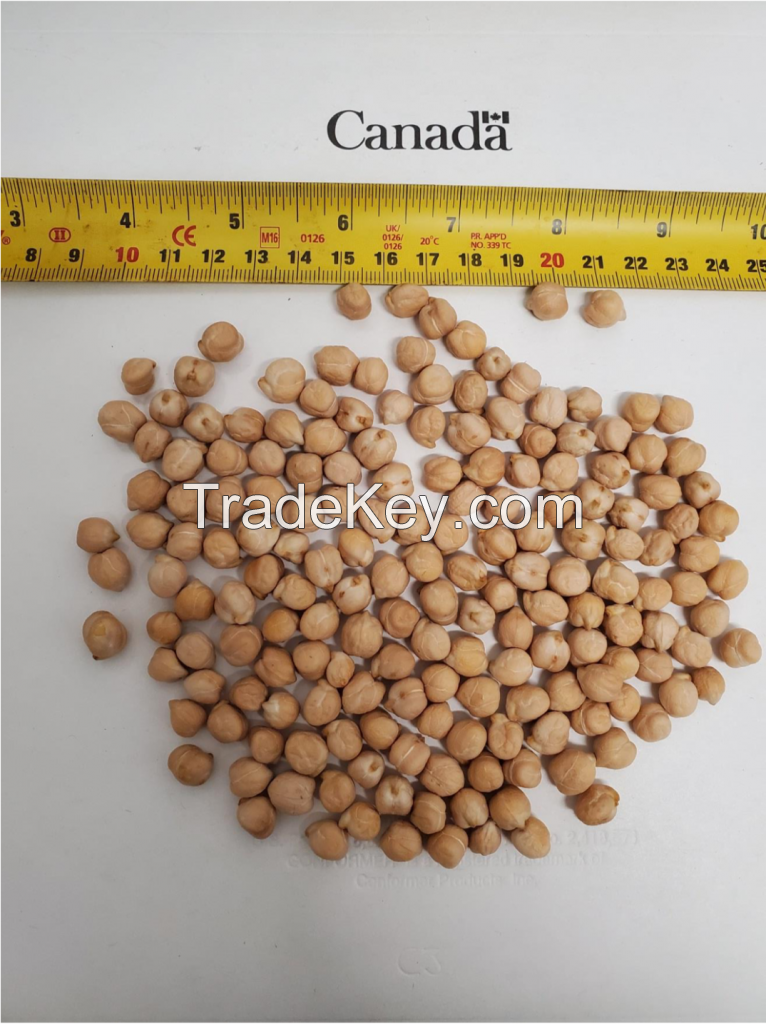 Kabuli-chickpeas