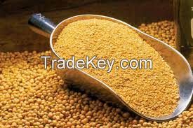  Soybean Meal