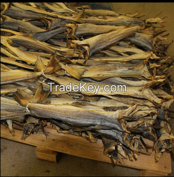 Fish Frozen,dried fish