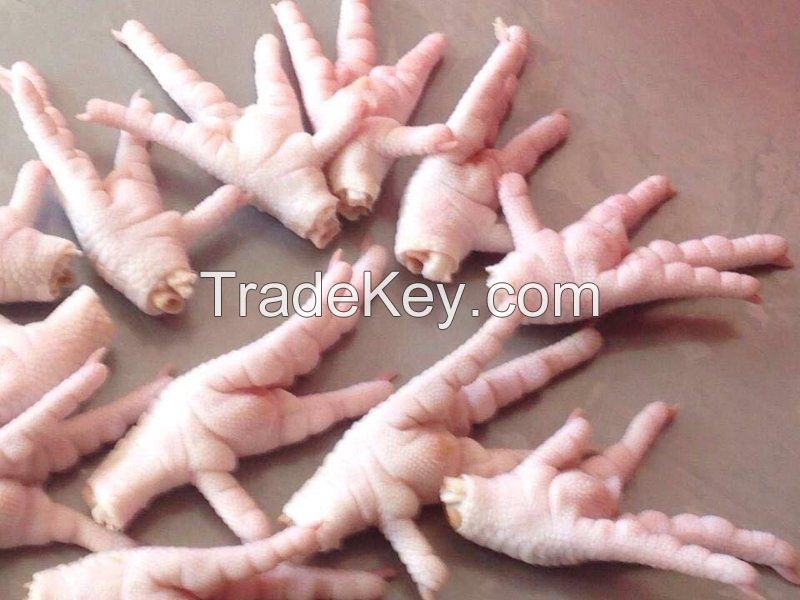 Halal Frozen Whole Chicken / Frozen Chicken Feet / Frozen Chicken Paws