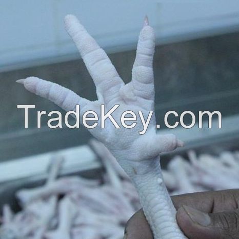 Brazilian Frozen Chicken Paws, Frozen Chicken Feet Suppliers