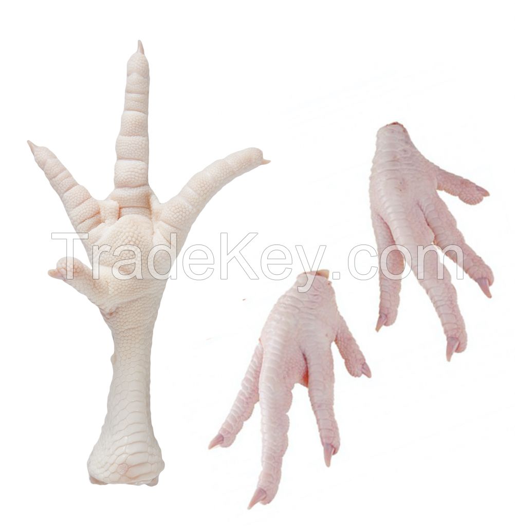 Brazilian Frozen Chicken Paws, Frozen Chicken Feet Suppliers