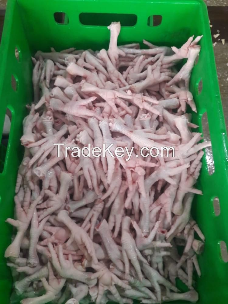 Frozen Chicken feet / A-grade chicken feet / Chicken paws