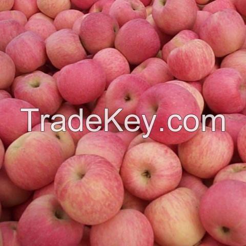 Fresh fruits apples Royal Gala fresh Apples class one Apples Polish origin