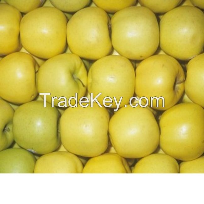 Export 2020 New Crop Fresh Apple Fruit With Good Price Available