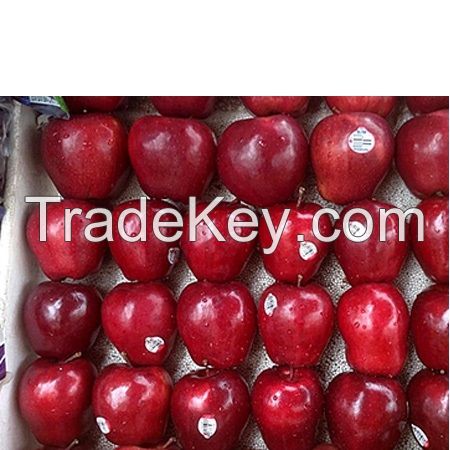 2017 New Fresh Gala Apple best price and quality