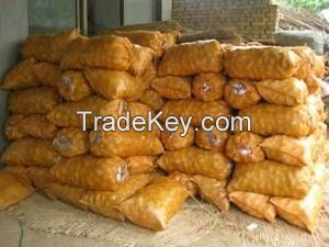 Fresh Potato with Competitive Price