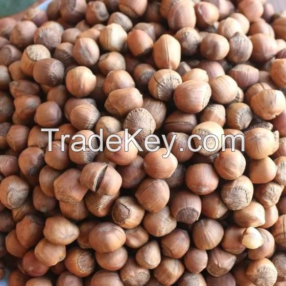 South Africa Wholesale organic Cheap Top quality hazelnut shell for sale 