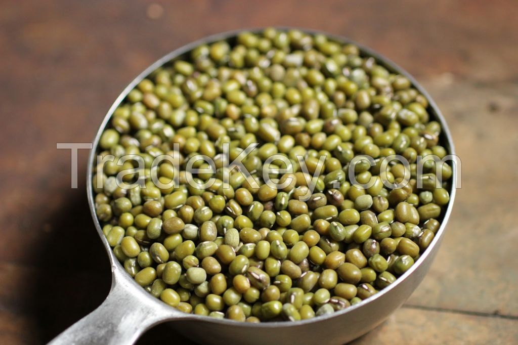 Moong Dal / Mung beans