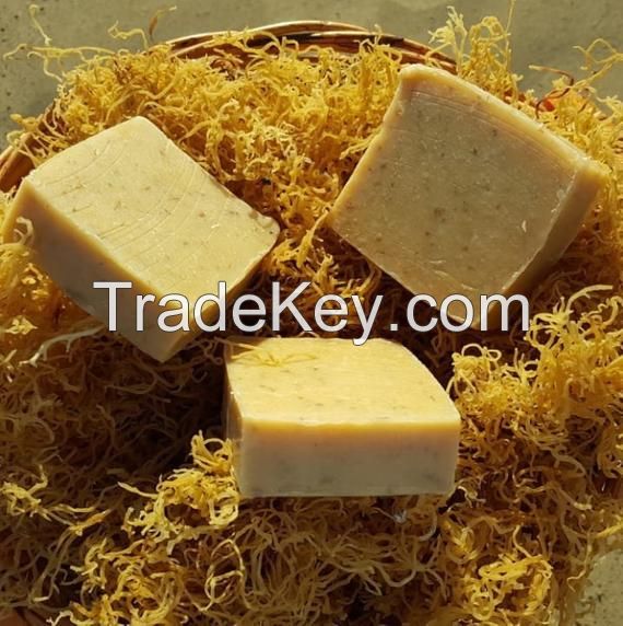 Vietnam Handmade Sea Moss Soap/ The Best Irish Seamoss Soap for Your Skin/ MS. GINA +84 347 436 085