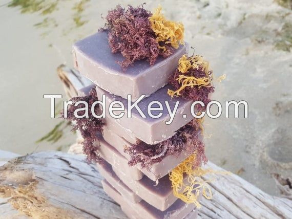 Vietnam Handmade Sea Moss Soap/ The Best Irish Seamoss Soap for Your Skin/ MS. GINA +84 347 436 085