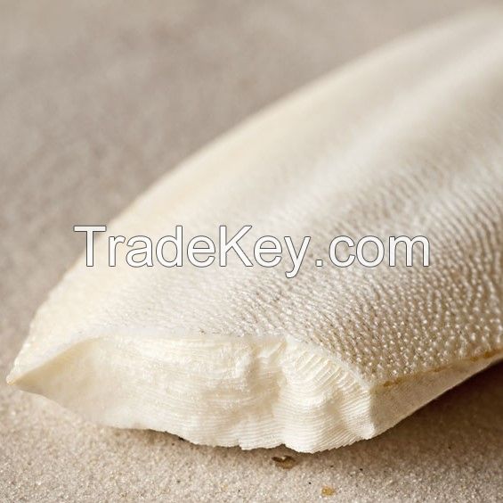 HOT I Cuttlefish Bone I TOP quality from VietNam I BEST SELLER 2023