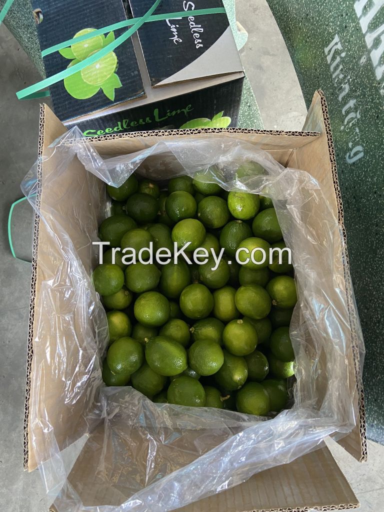 PERSIAN LIME/ SEEDLESS LIME FOR IMPORT// Ms. Helen