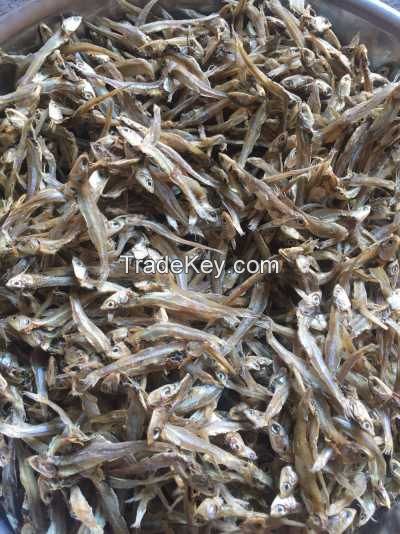 DRIED ANCHOVY FISH/ HIGH SPRATS
