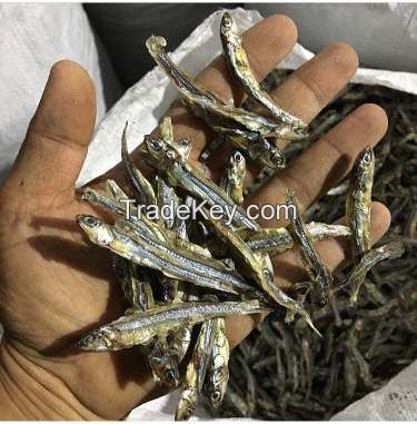 DRIED ANCHOVY FISH/ HIGH SPRATS