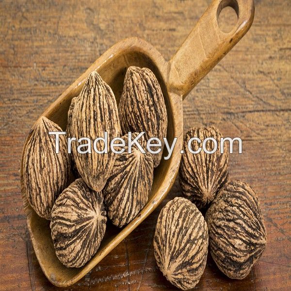 Ukraine Walnut