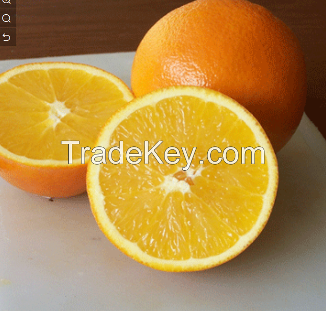 Fresh Valencia and Navel Orange