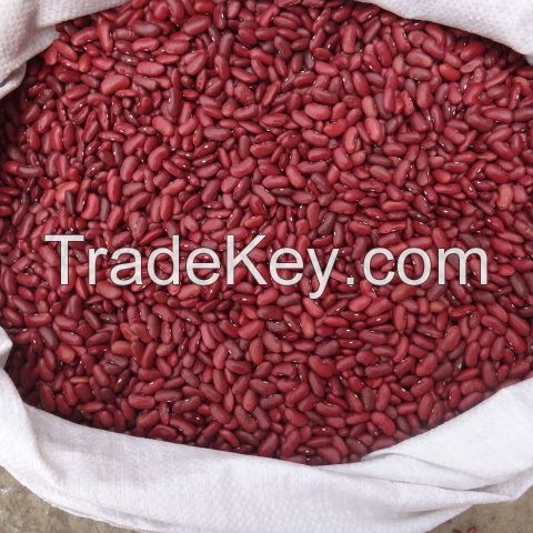 Kidney Beans