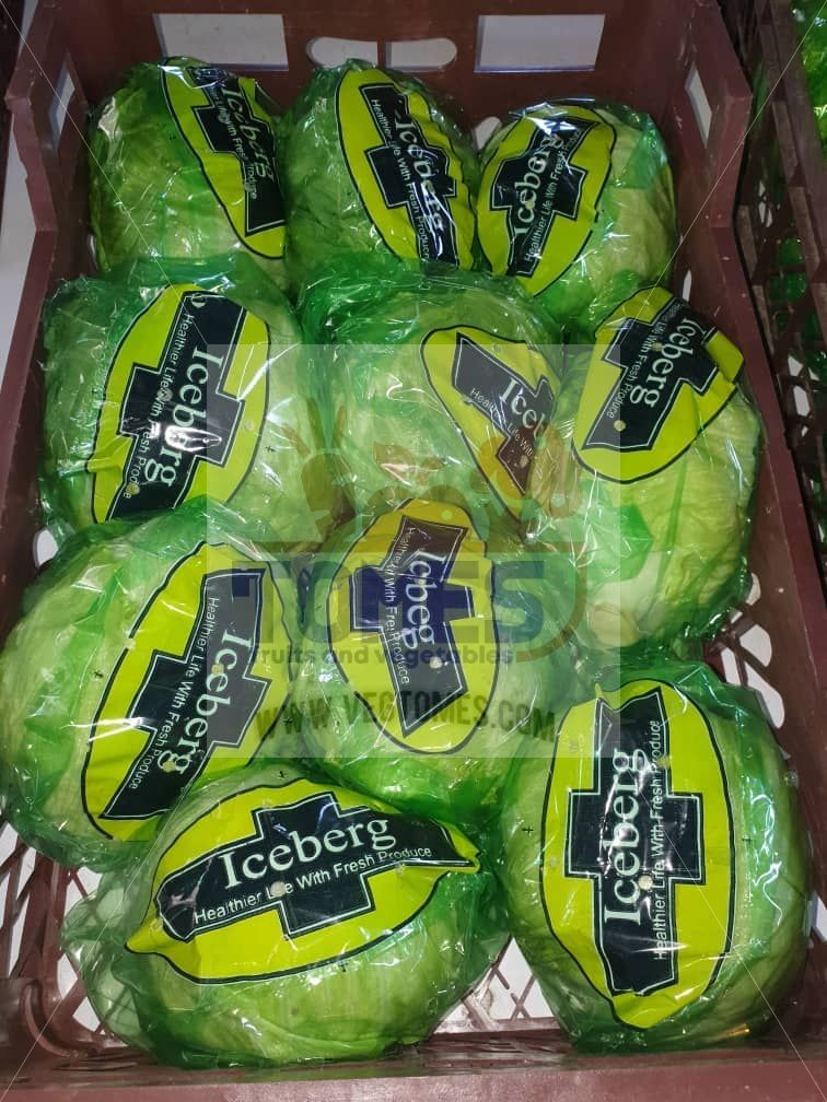 Iceberg lettuce