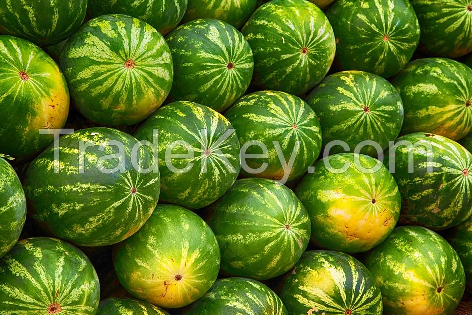 Iranian Watermelon