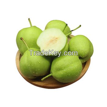 High Quality Fresh Fruit Sweet Nutrition Pear 