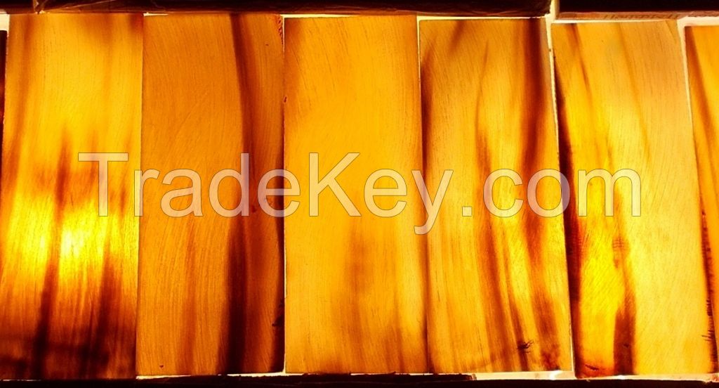 Eyeglasses Buffalo Horn Plates Frame, Buffalo Horn Buckles 