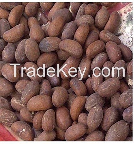 kola nut, kernels