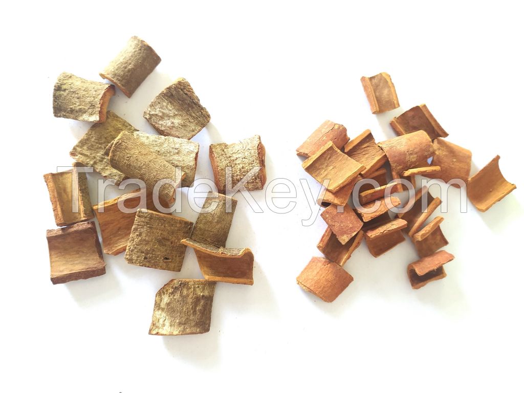 ROUND SQUARE CUT CASSIA