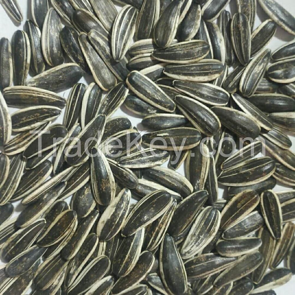 Sunflower Seeds