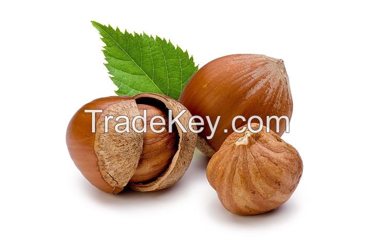 Naturel Raw Hazelnuts , (No Shell)