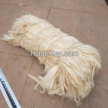 High Quality UG and SSUG Natural sisal fiber / sisal fibre 