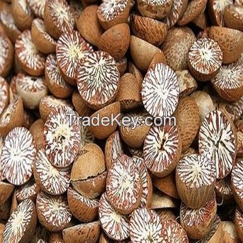 Dried Betel Nut High Quality Big size 