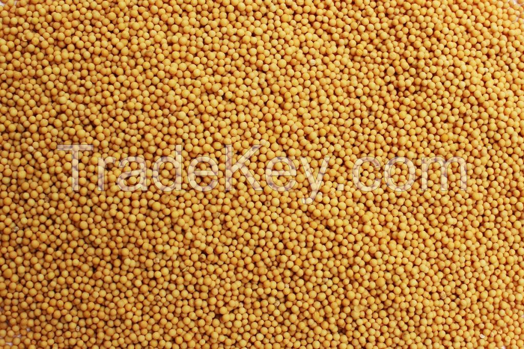 mustard  seeds