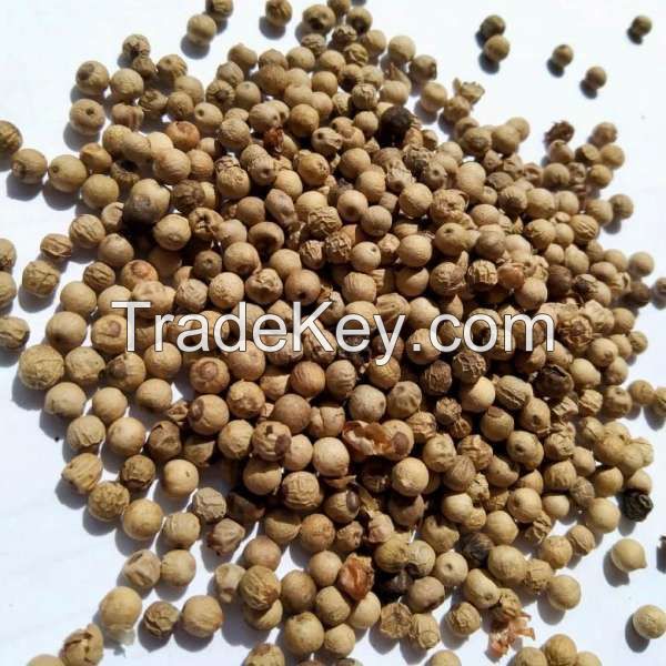 Muntok White Pepper Grade C (SNI II)