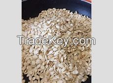 Melon Seeds.