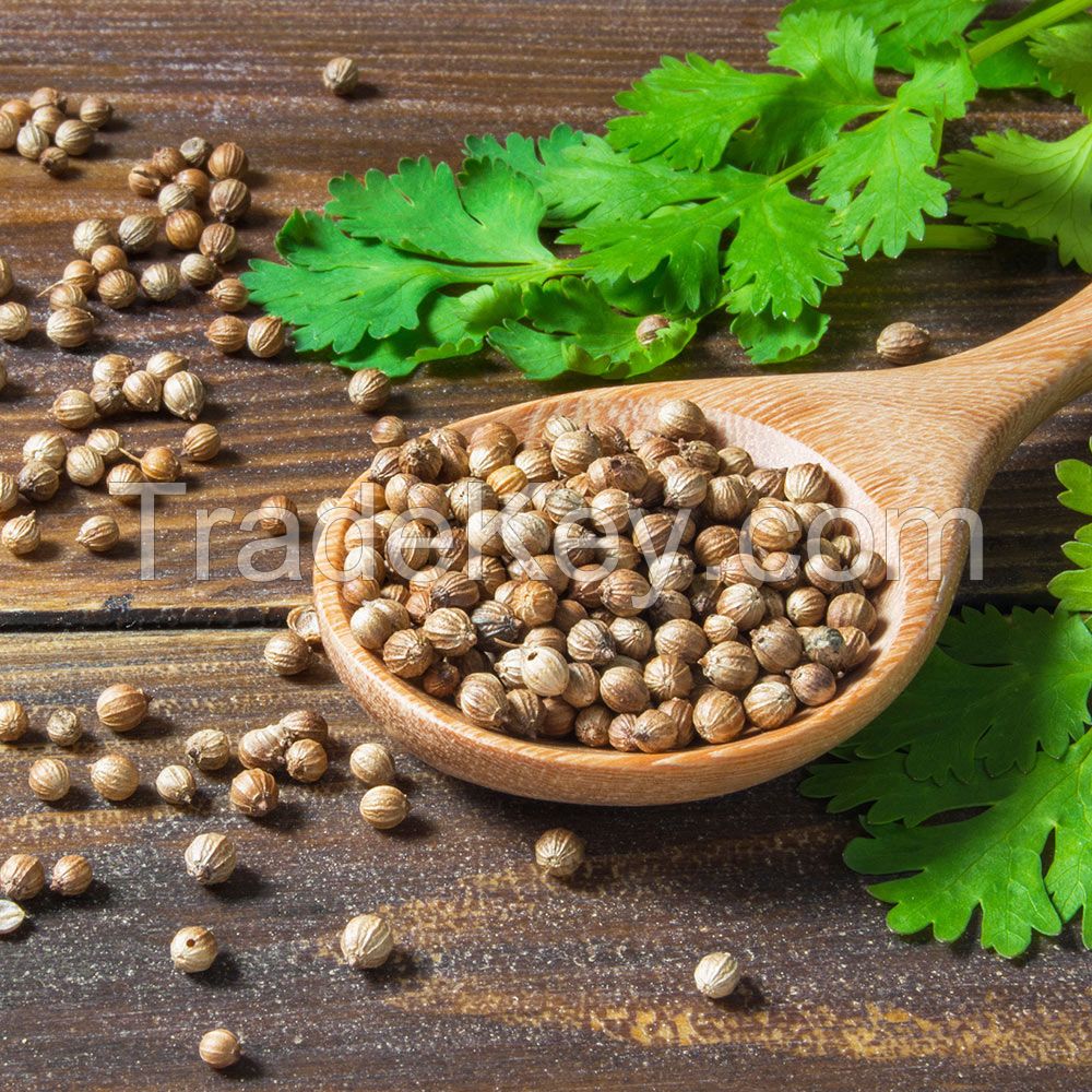 Coriander Seeds