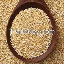 WHITE ORGANIC QUINOA (BULK)