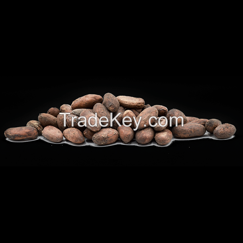 Cocoa beans for sale