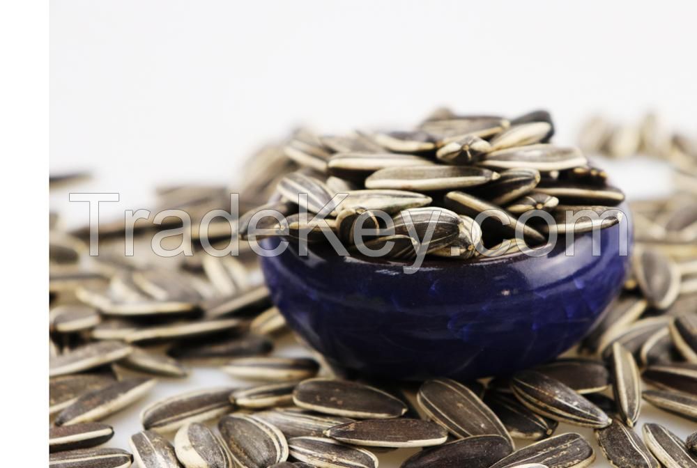 Sunflower Seeds