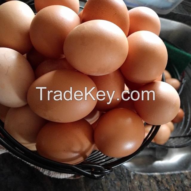 Fresh White and brown eggs