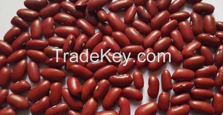 Dark red kidney beans